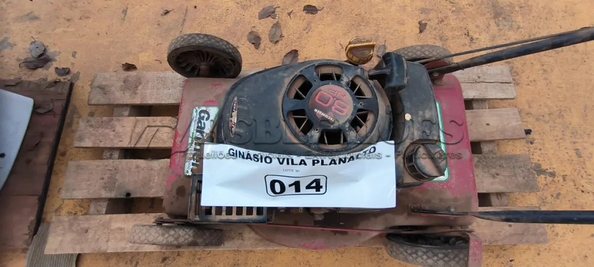 LOTE 014 - 01 CORTADOR DE GRAMA A GASOLINA GARTHERN E 01 MOTOR A GASOLINA (NO ESTADO, NÃO SABEMOS SE FUNCIONA. LEILÃO NÃO TEM GARANTIA E NEM DEVOLUÇÃO).