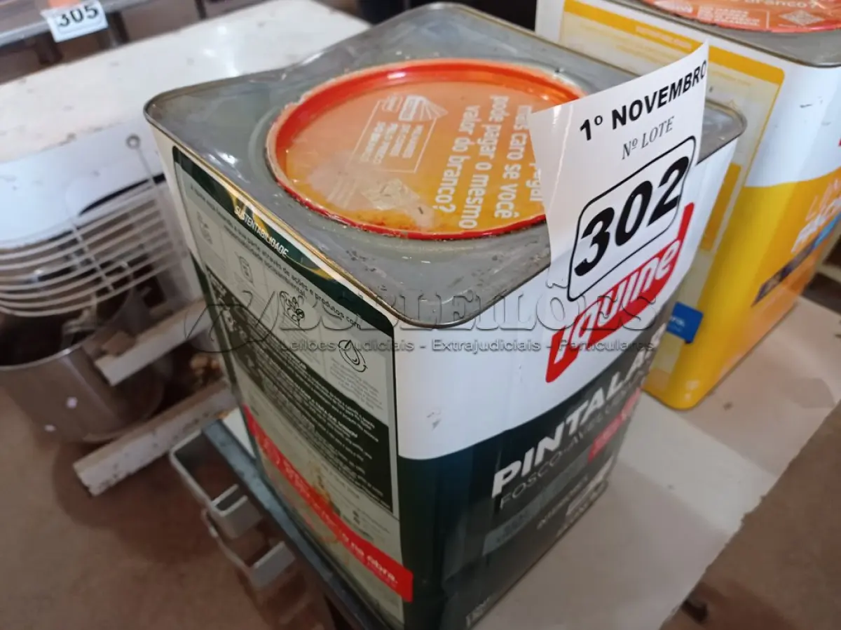 LOTE 302