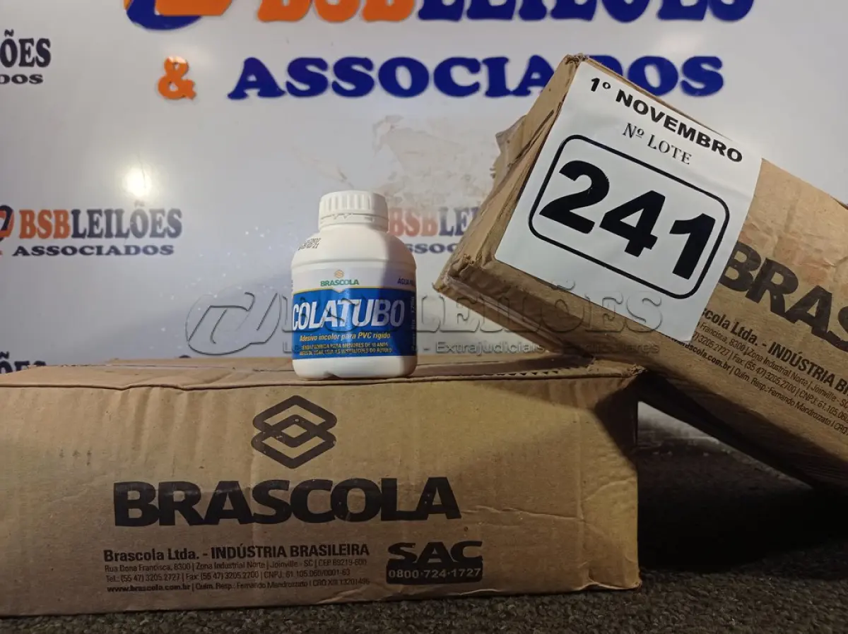 LOTE 241