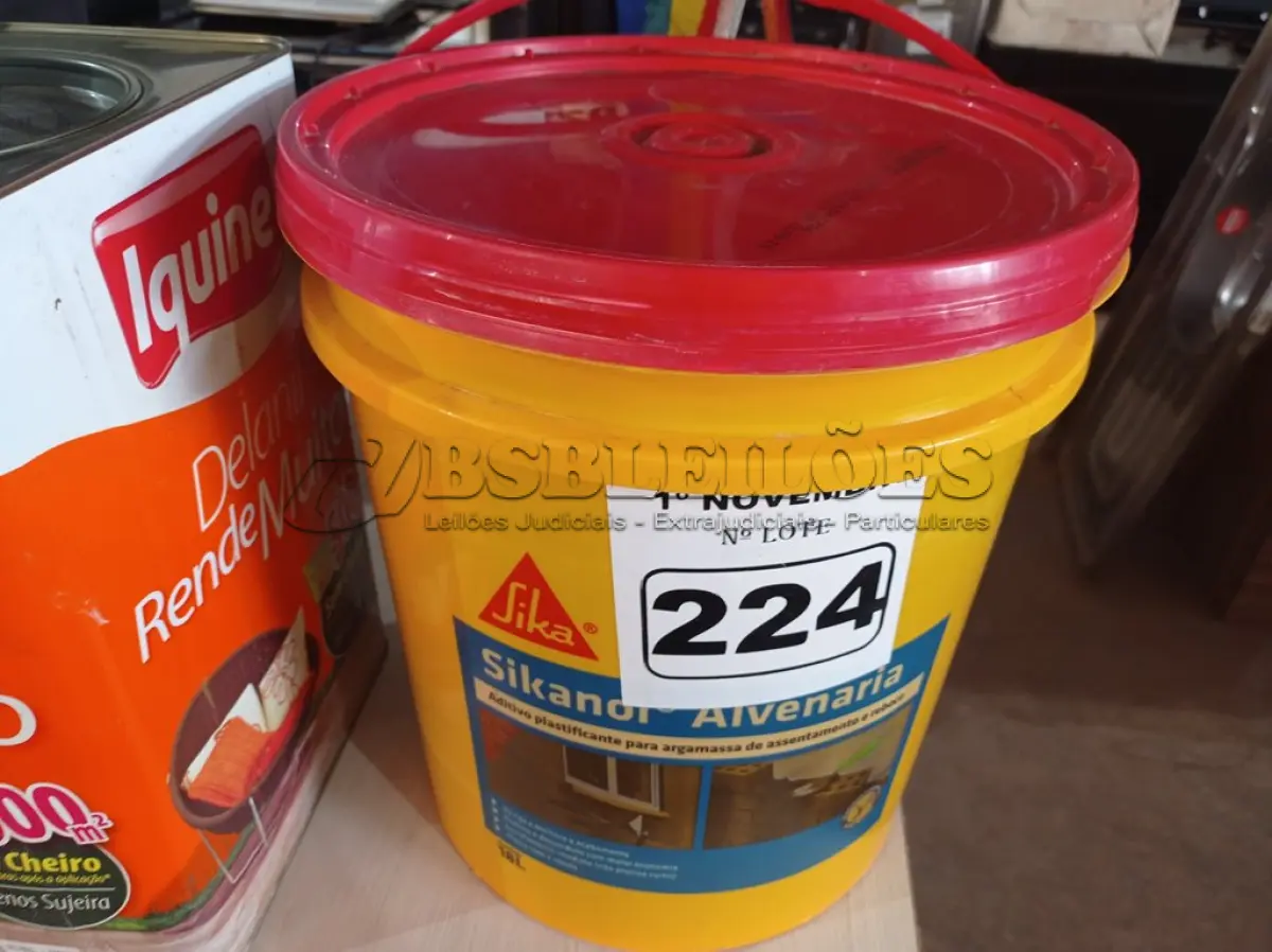 LOTE 224