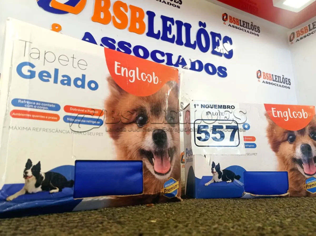 LOTE 557 - 02 TAPETES GELADOS. (NO ESTADO) ATENÇÃO! FAZER A VISITAÇÃO ANTES DE ARREMATAR, NÃO SABEMOS SE FUNCIONA. LEILÃO NÃO TEM GARANTIA E NEM DEVOLUÇÃO, SUJEITO A POSSÍVEIS AVARIAS VISÍVEIS/OCULTAS E/OU AUSÊNCIA DE COMPONENTES.