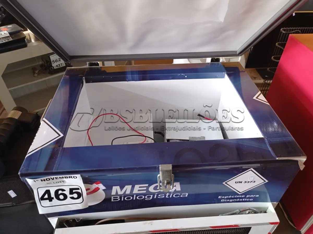 LOTE 465