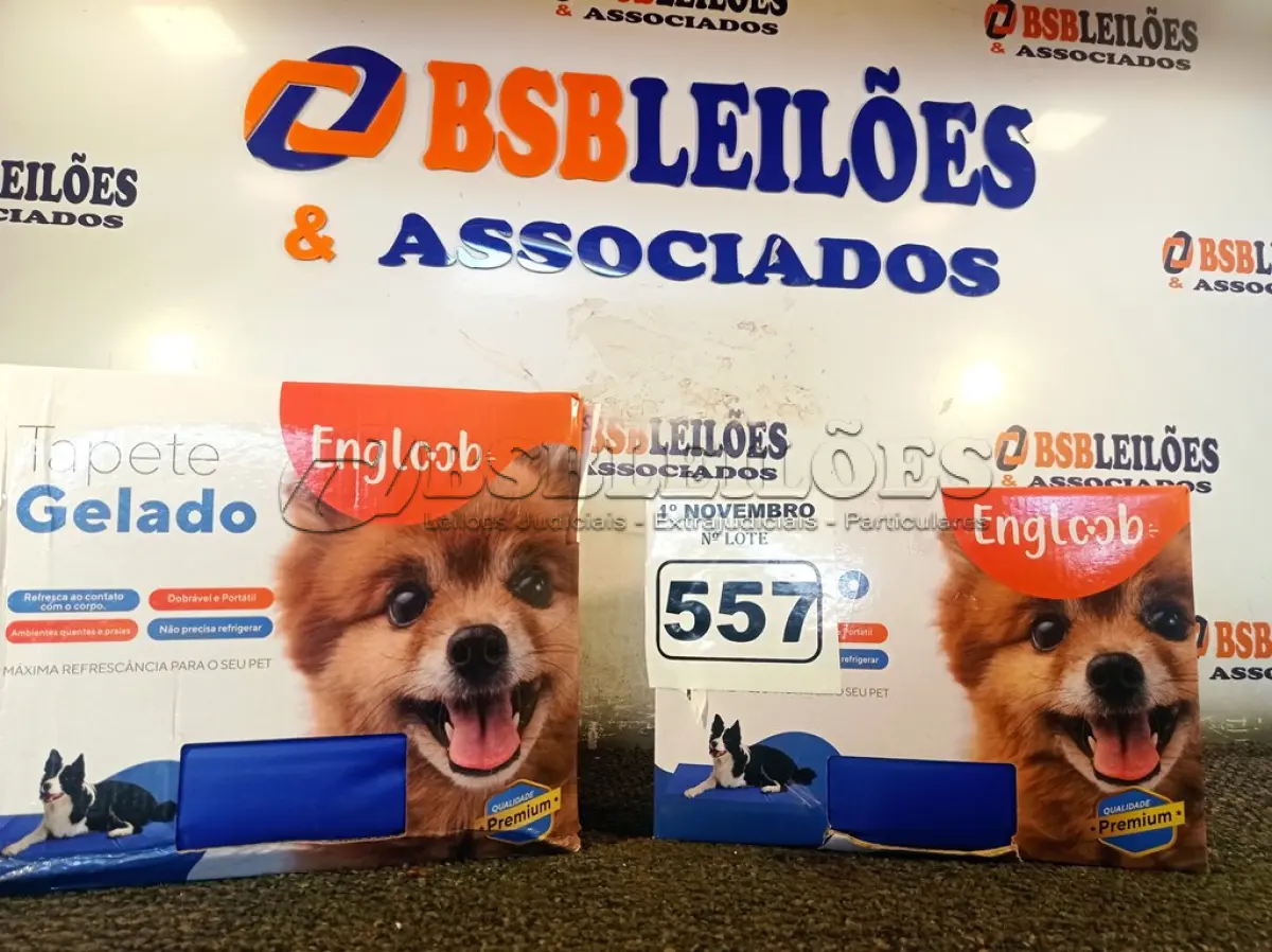 LOTE 557 - 02 TAPETES GELADOS. (NO ESTADO) ATENÇÃO! FAZER A VISITAÇÃO ANTES DE ARREMATAR, NÃO SABEMOS SE FUNCIONA. LEILÃO NÃO TEM GARANTIA E NEM DEVOLUÇÃO, SUJEITO A POSSÍVEIS AVARIAS VISÍVEIS/OCULTAS E/OU AUSÊNCIA DE COMPONENTES.