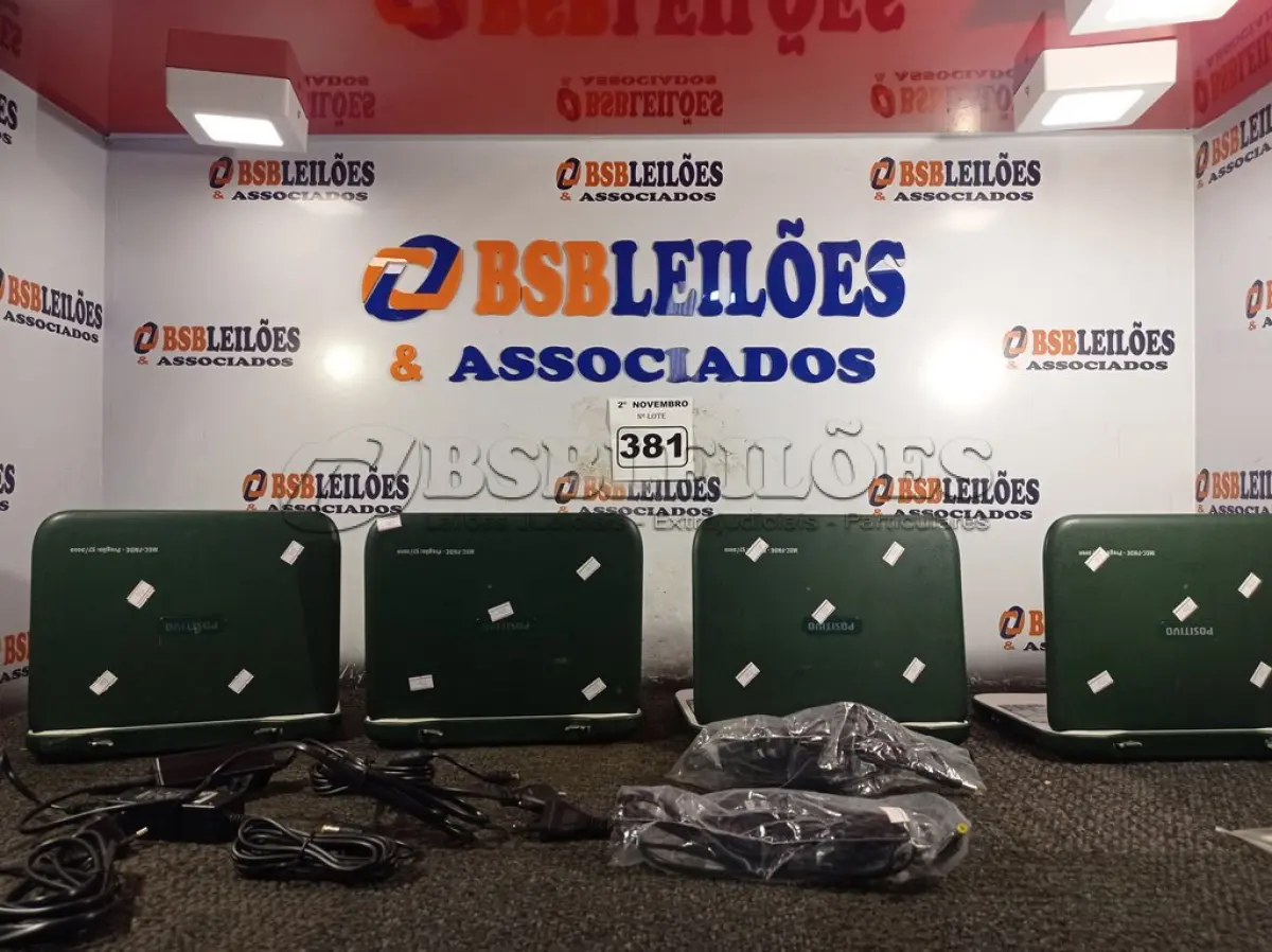 LOTE 381