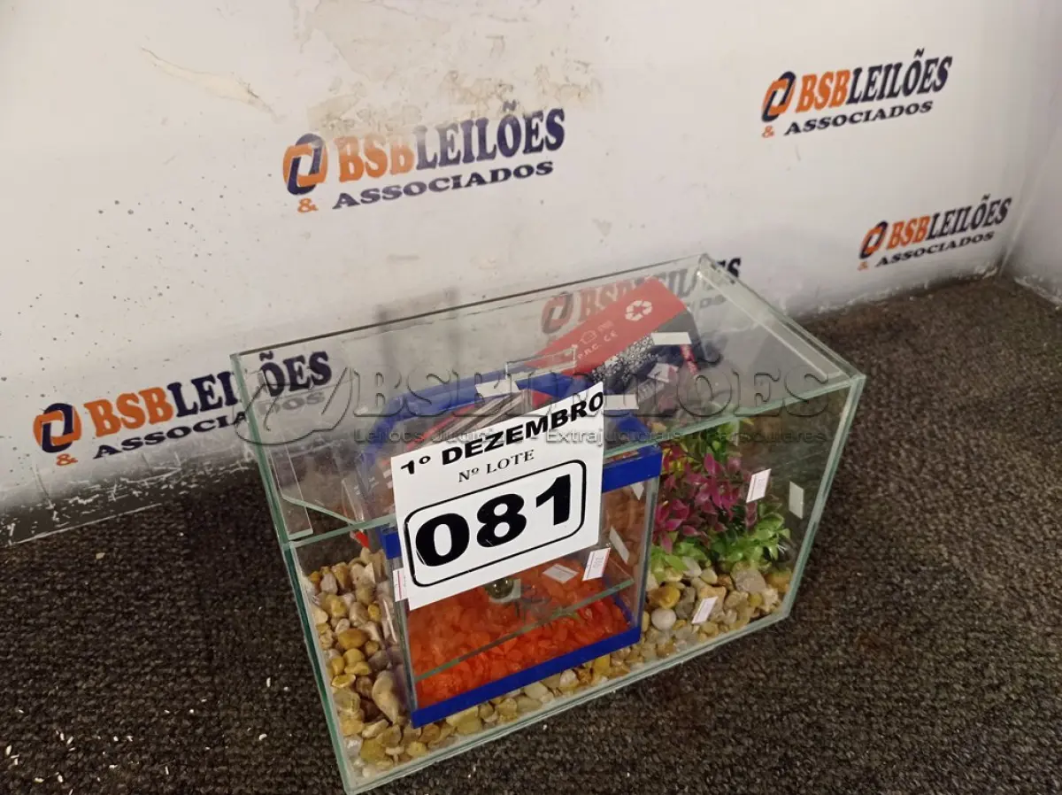 LOTE 081 - 01 AQUÁRIO. (NO ESTADO) ATENÇÃO! FAZER A VISITAÇÃO ANTES DE ARREMATAR, NÃO SABEMOS SE FUNCIONA. LEILÃO NÃO TEM GARANTIA E NEM DEVOLUÇÃO, SUJEITO A POSSÍVEIS AVARIAS VISÍVEIS/OCULTAS E/OU AUSÊNCIA DE COMPONENTES.