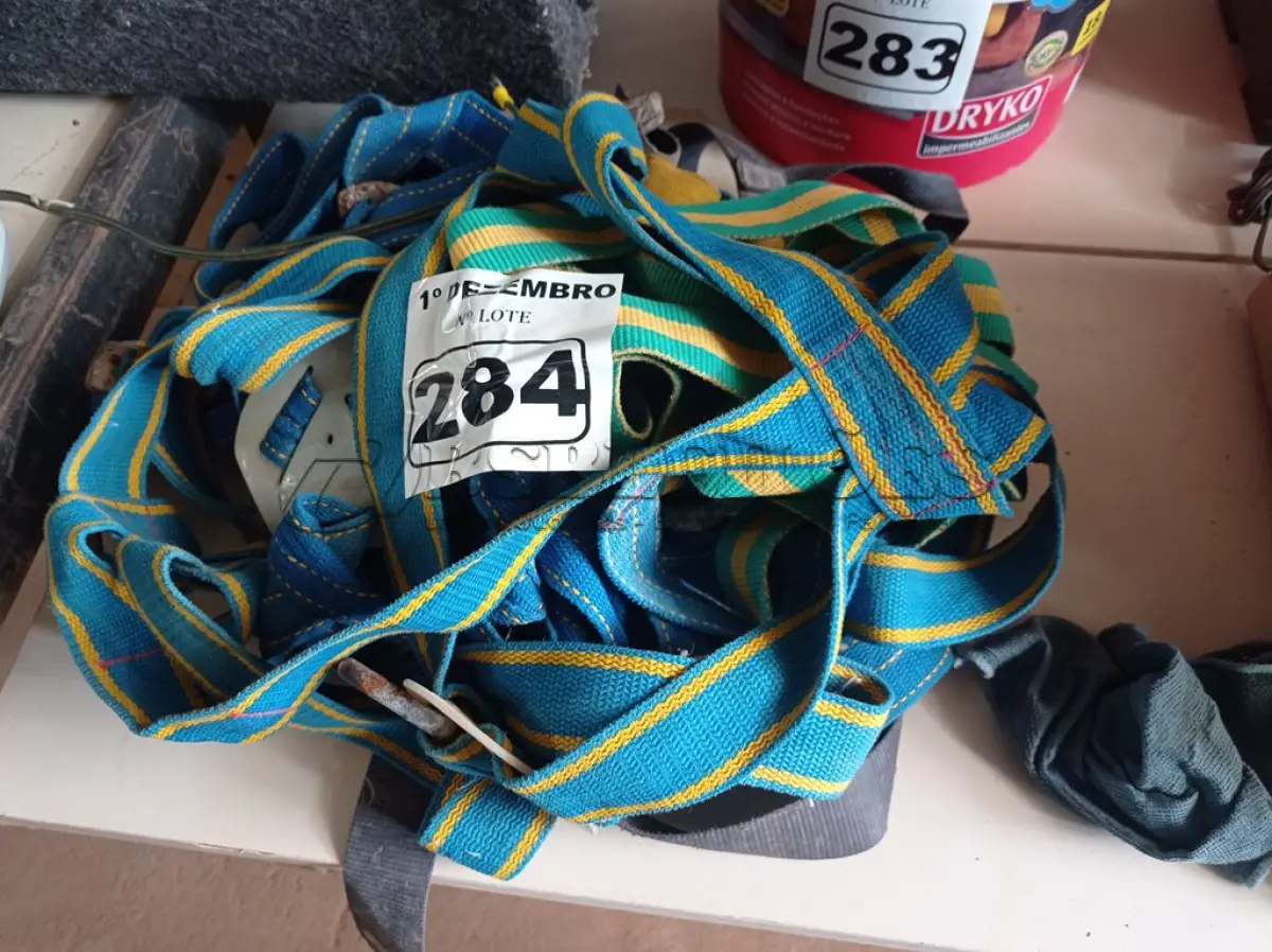 LOTE 284 - 05 CINTOS DE SEGURANÇA NO TRABALHO. (NO ESTADO) ATENÇÃO! FAZER A VISITAÇÃO ANTES DE ARREMATAR, NÃO SABEMOS SE FUNCIONA. LEILÃO NÃO TEM GARANTIA E NEM DEVOLUÇÃO, SUJEITO A POSSÍVEIS AVARIAS VISÍVEIS/OCULTAS E/OU AUSÊNCIA DE COMPONENTES.