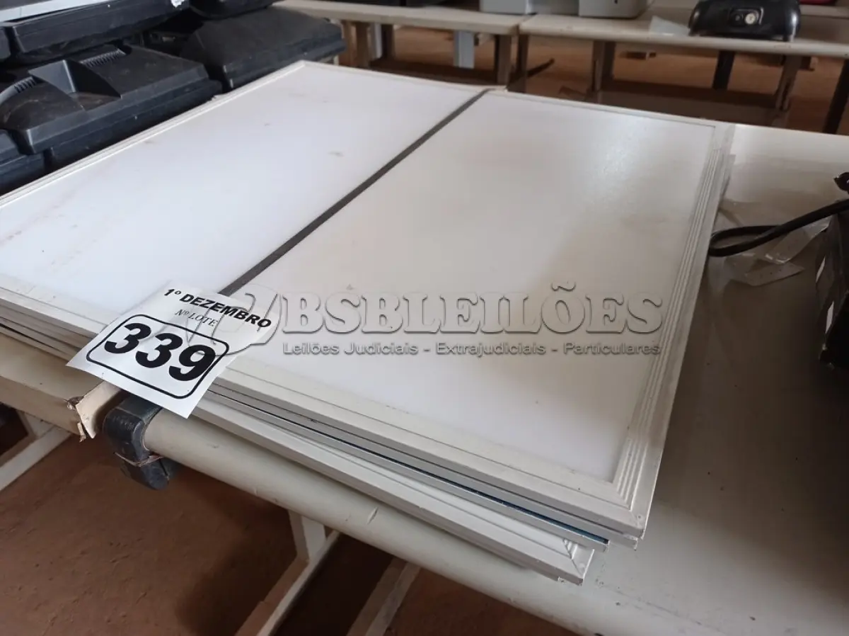 LOTE 339