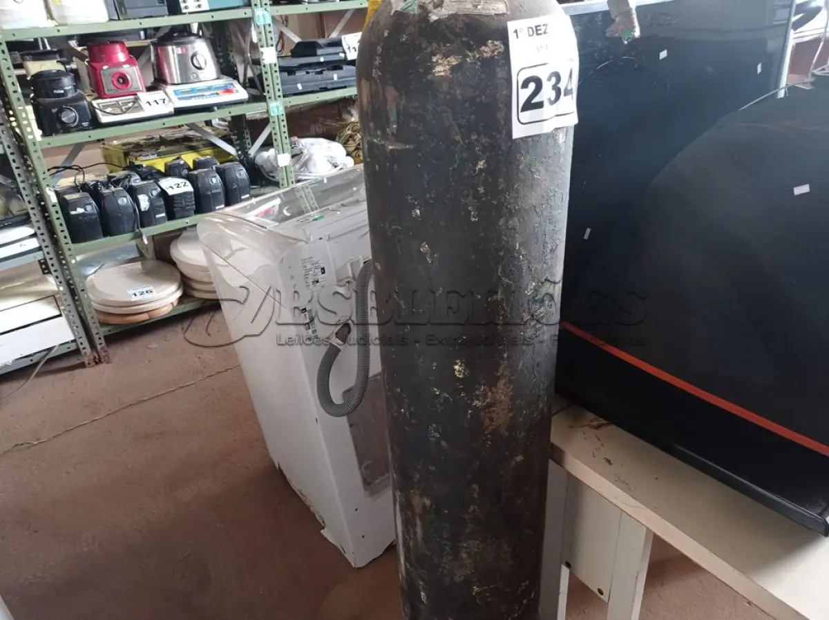 LOTE 234