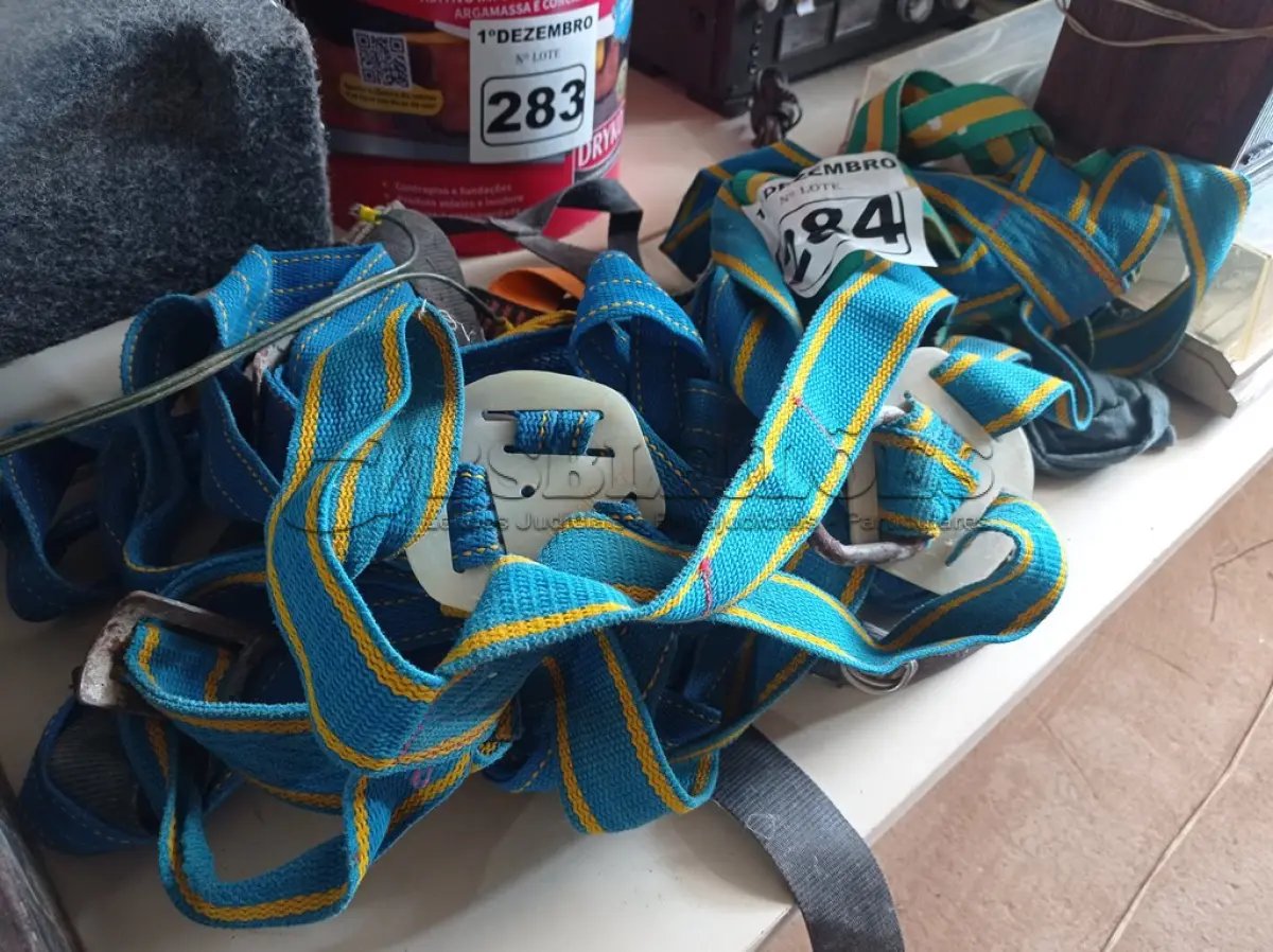 LOTE 284 - 05 CINTOS DE SEGURANÇA NO TRABALHO. (NO ESTADO) ATENÇÃO! FAZER A VISITAÇÃO ANTES DE ARREMATAR, NÃO SABEMOS SE FUNCIONA. LEILÃO NÃO TEM GARANTIA E NEM DEVOLUÇÃO, SUJEITO A POSSÍVEIS AVARIAS VISÍVEIS/OCULTAS E/OU AUSÊNCIA DE COMPONENTES.