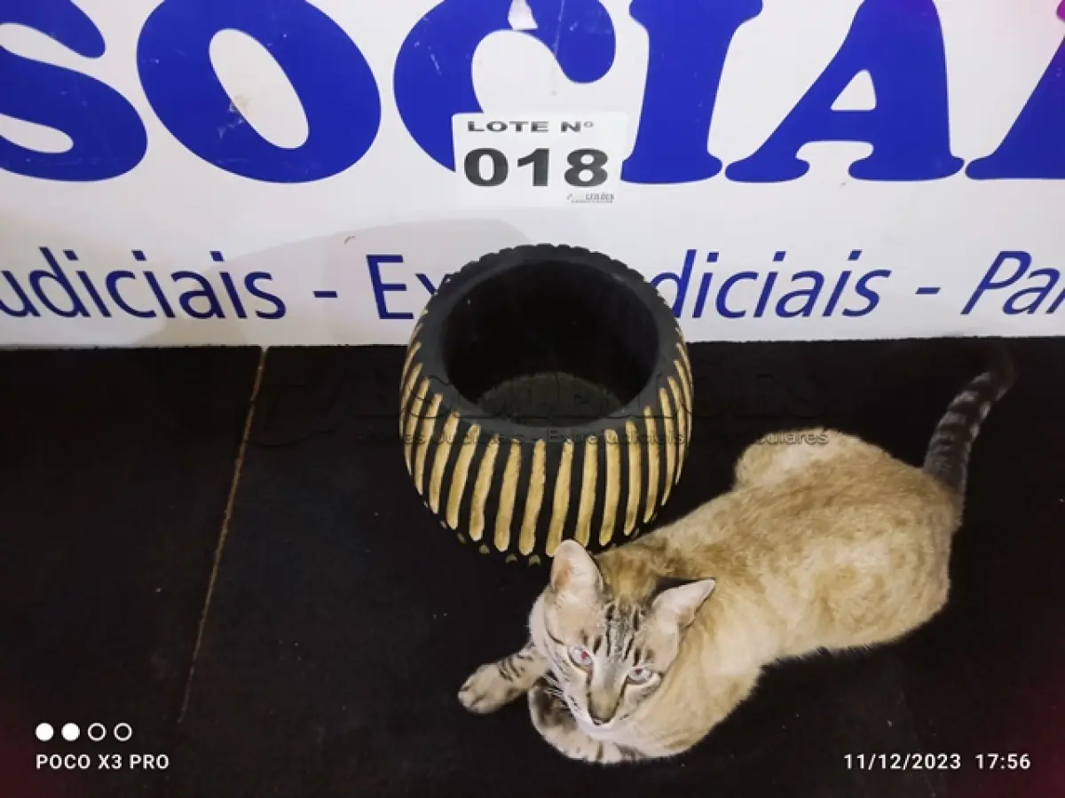LOTE 018 - 01 - VASO DE MADEIRA TRABALHADA (NO ESTADO, NÃO SABEMOS SE FUNCIONA. LEILÃO NÃO TEM GARANTIA E NEM DEVOLUÇÃO, SUJEITO A POSSÍVEIS AVARIAS VISÍVEIS/OCULTAS E/OU AUSÊNCIA DE COMPONENTES)