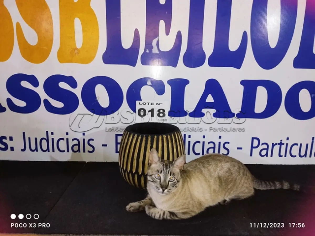 LOTE 018 - 01 - VASO DE MADEIRA TRABALHADA (NO ESTADO, NÃO SABEMOS SE FUNCIONA. LEILÃO NÃO TEM GARANTIA E NEM DEVOLUÇÃO, SUJEITO A POSSÍVEIS AVARIAS VISÍVEIS/OCULTAS E/OU AUSÊNCIA DE COMPONENTES)