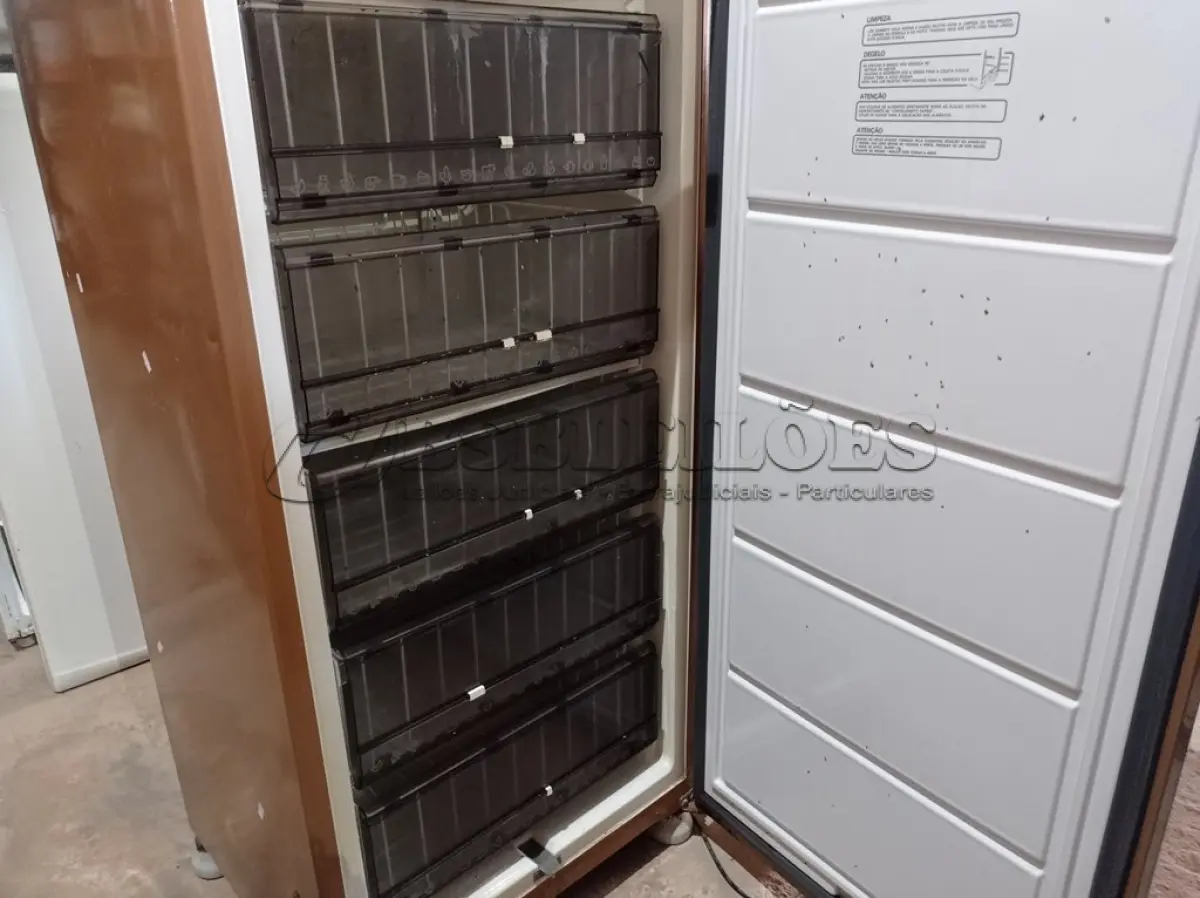LOTE 229