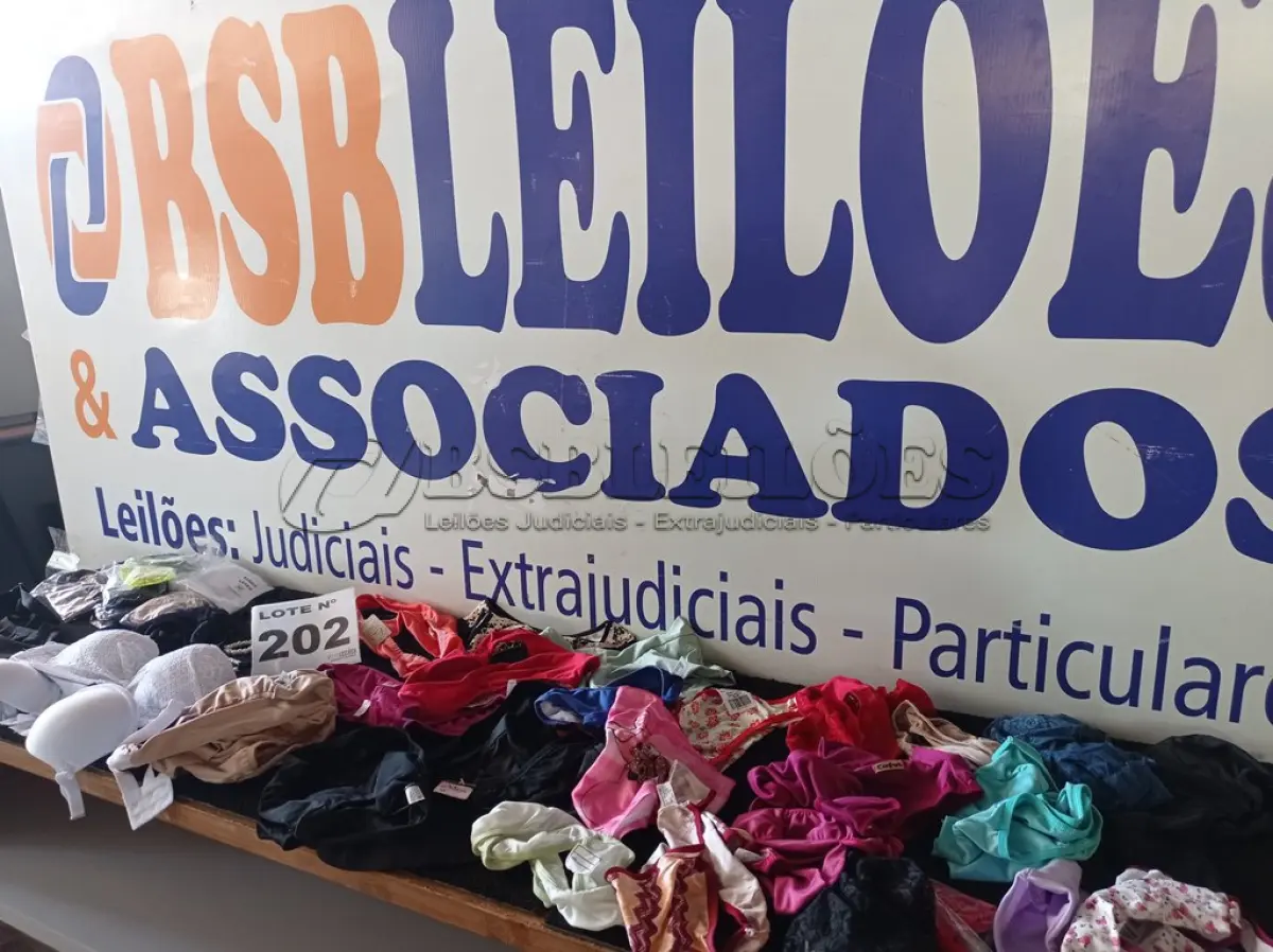 LOTE 202 - 62 – PEÇAS INTIMAS FEMININAS (APROXIMADAMENTE)(NO ESTADO, NÃO SABEMOS SE FUNCIONA. LEILÃO NÃO TEM GARANTIA E NEM DEVOLUÇÃO, SUJEITO A POSSÍVEIS AVARIAS VISÍVEIS/OCULTAS E/OU AUSÊNCIA DE COMPONENTES)
