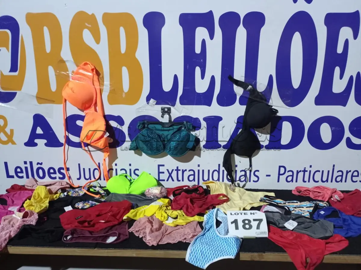 LOTE 187 - 90 – PEÇAS INTIMAS FEMININAS (APROXIMADAMENTE) (NO ESTADO, NÃO SABEMOS SE FUNCIONA. LEILÃO NÃO TEM GARANTIA E NEM DEVOLUÇÃO, SUJEITO A POSSÍVEIS AVARIAS VISÍVEIS/OCULTAS E/OU AUSÊNCIA DE COMPONENTES)