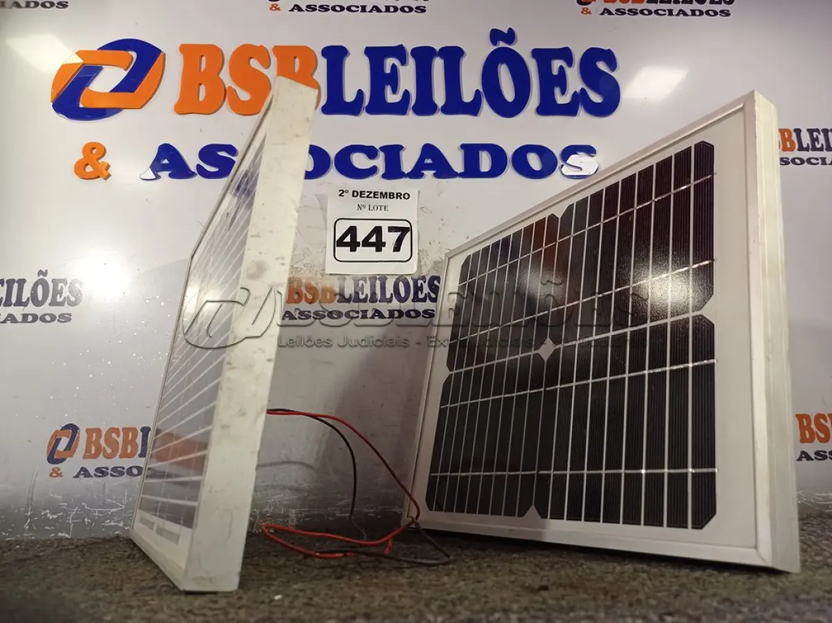 LOTE 447