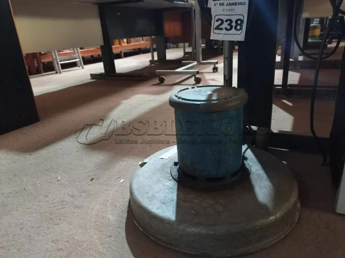 LOTE 238