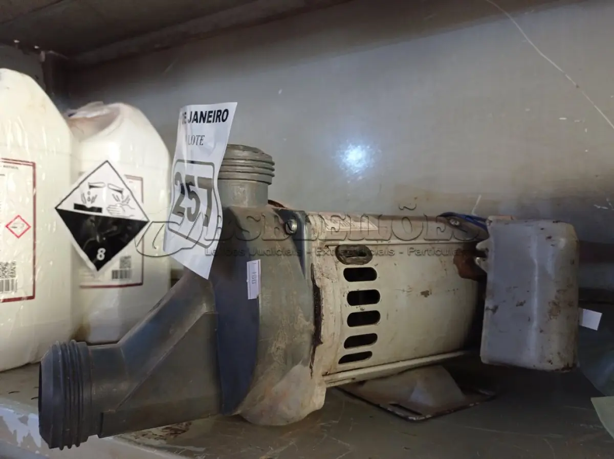 LOTE 257