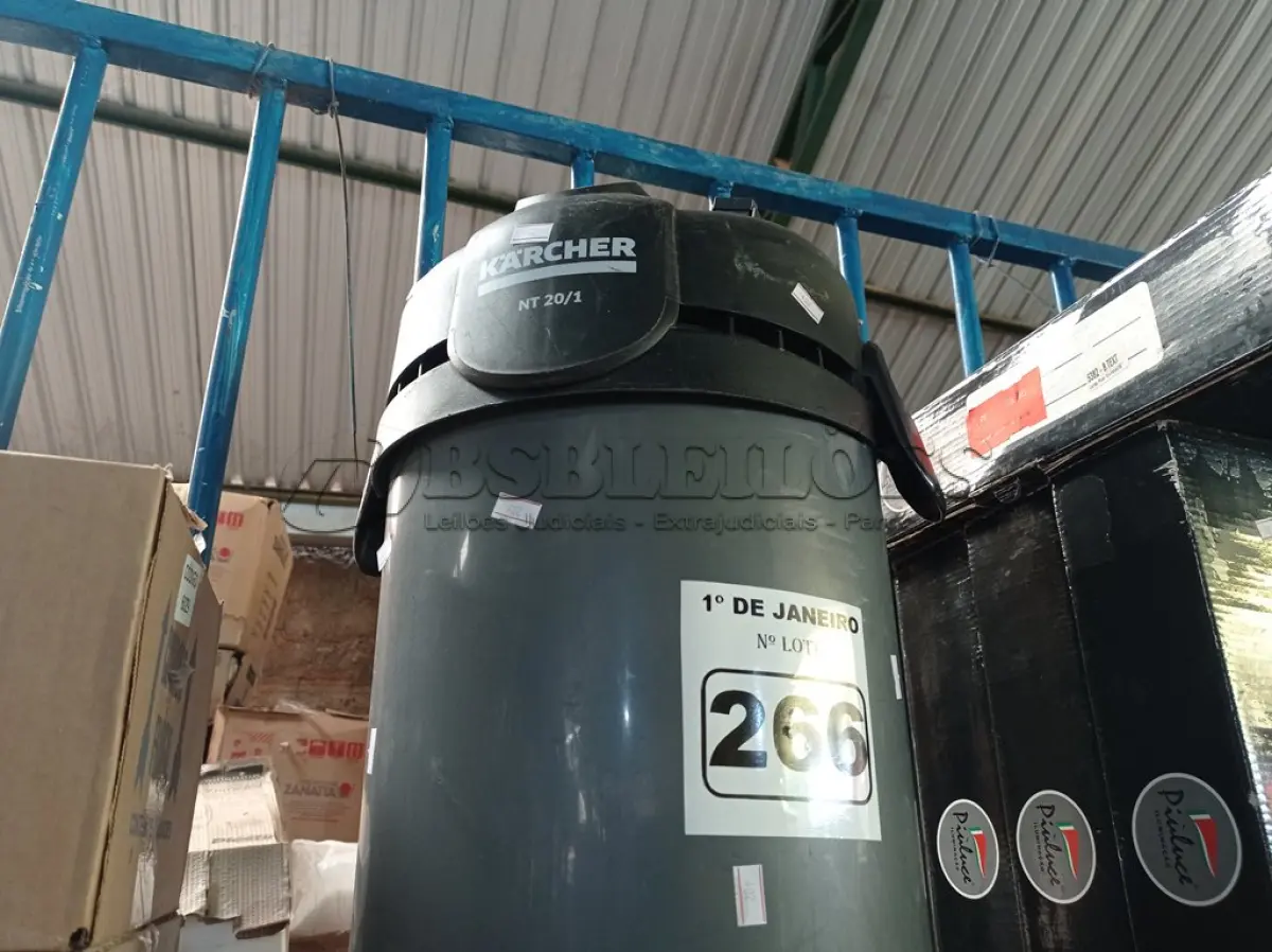 LOTE 266