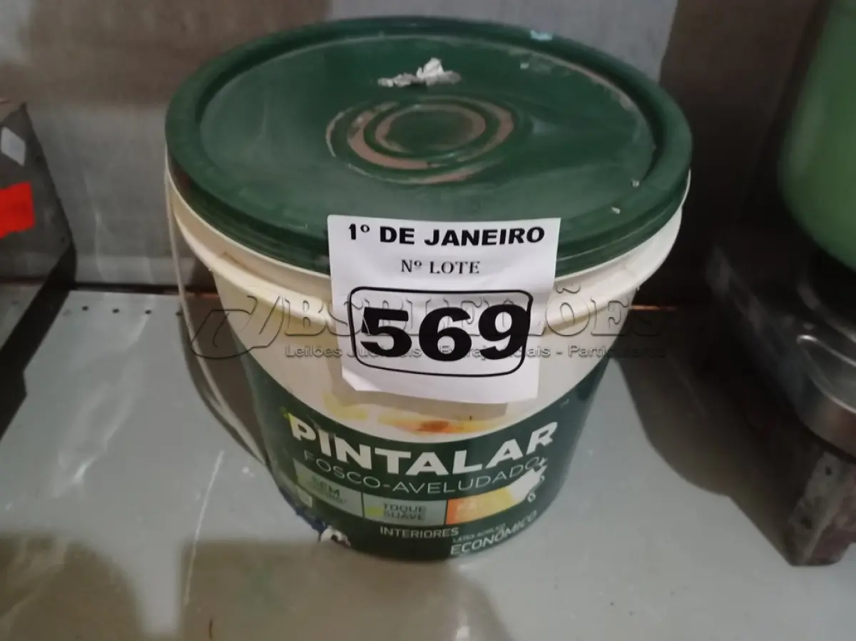 LOTE 569