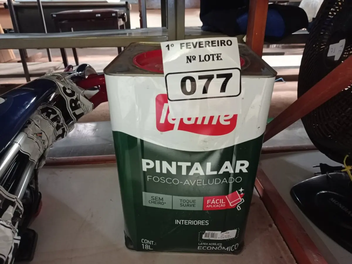 LOTE 077