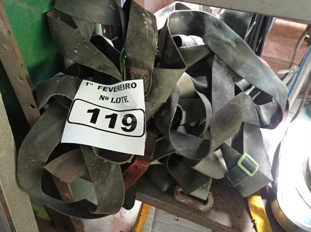 LOTE 119