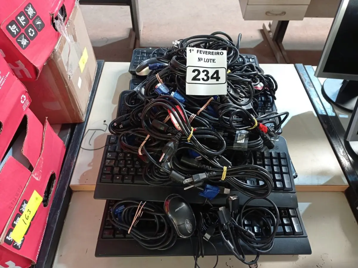 LOTE 234 - 01 LOTE COM VÁRIOS TECLADOS, CABOS DE FORÇA, MOUSES E CABOS DE VÍDEO MARCAS E MODELOS DIVERSOS. (NO ESTADO) ATENÇÃO! FAZER A VISITAÇÃO ANTES DE ARREMATAR, NÃO SABEMOS SE FUNCIONA. LEILÃO NÃO TEM GARANTIA E NEM DEVOLUÇÃO, SUJEITO A POSSÍVEIS AVARIAS VISÍVEIS/OCULTAS E/OU AUSÊNCIA DE COMPONENTES.