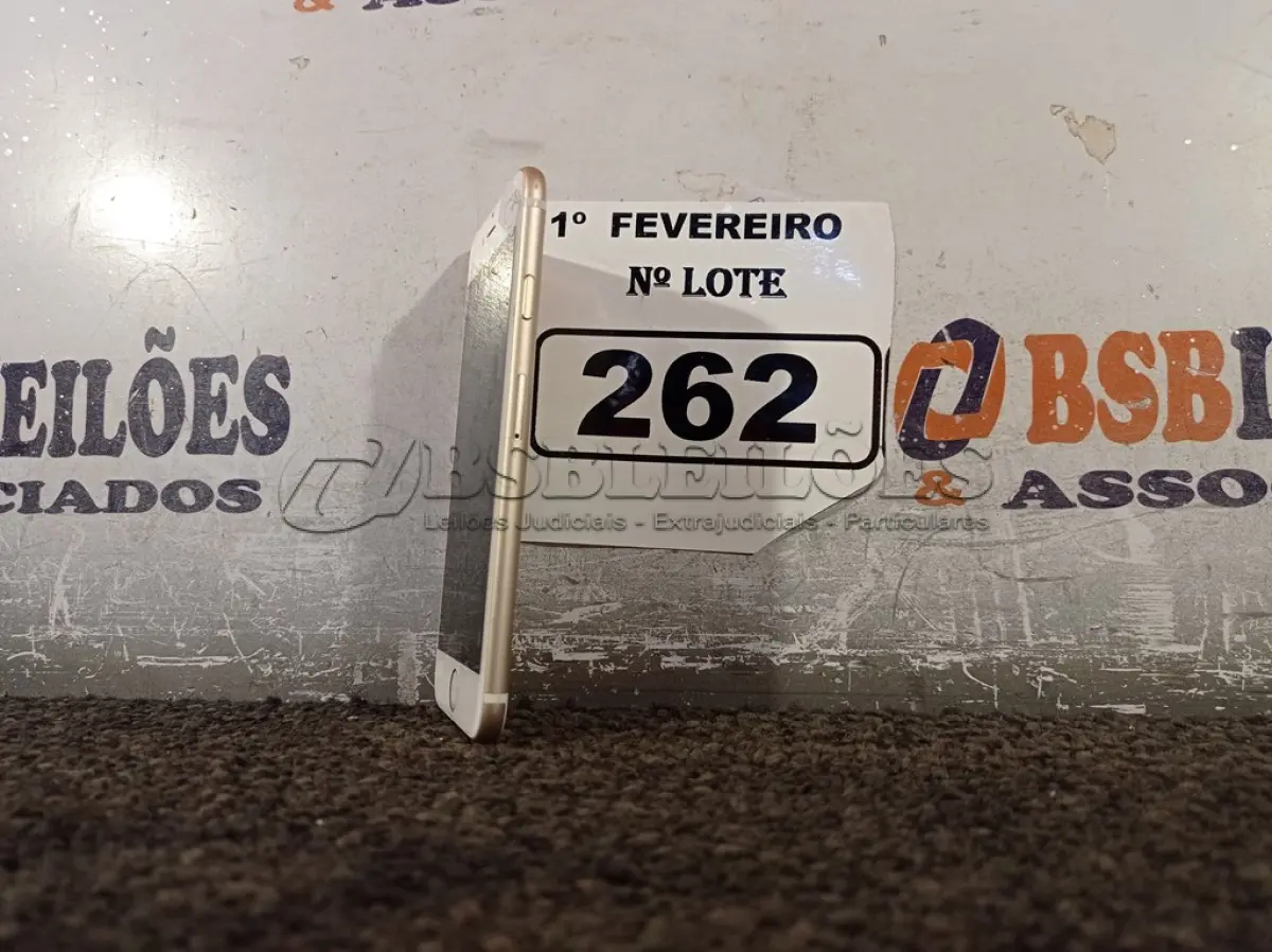 LOTE 262