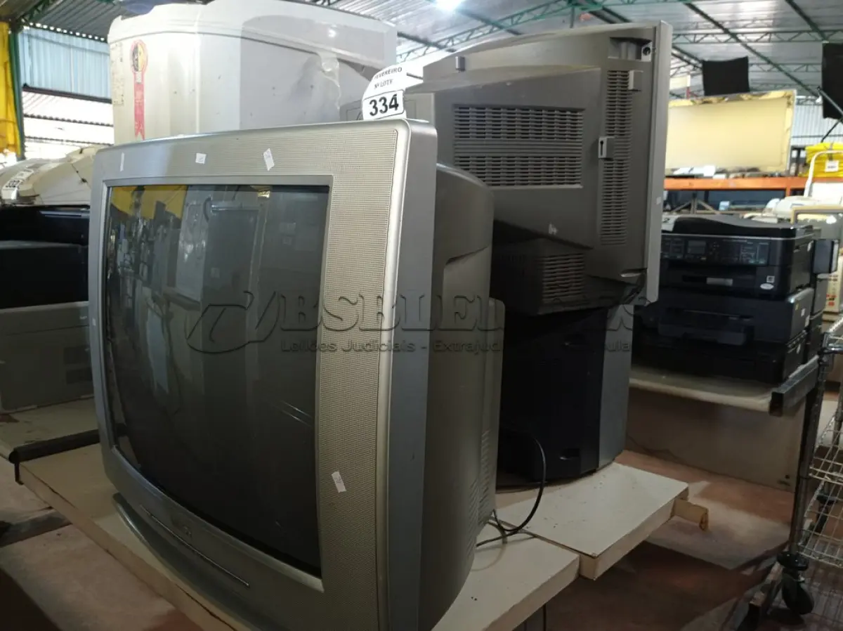 LOTE 334