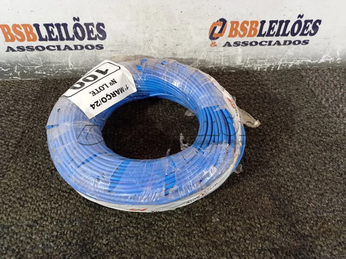 LOTE 100