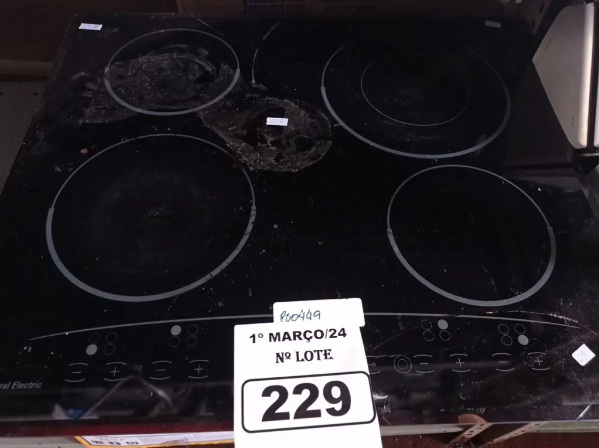 LOTE 229