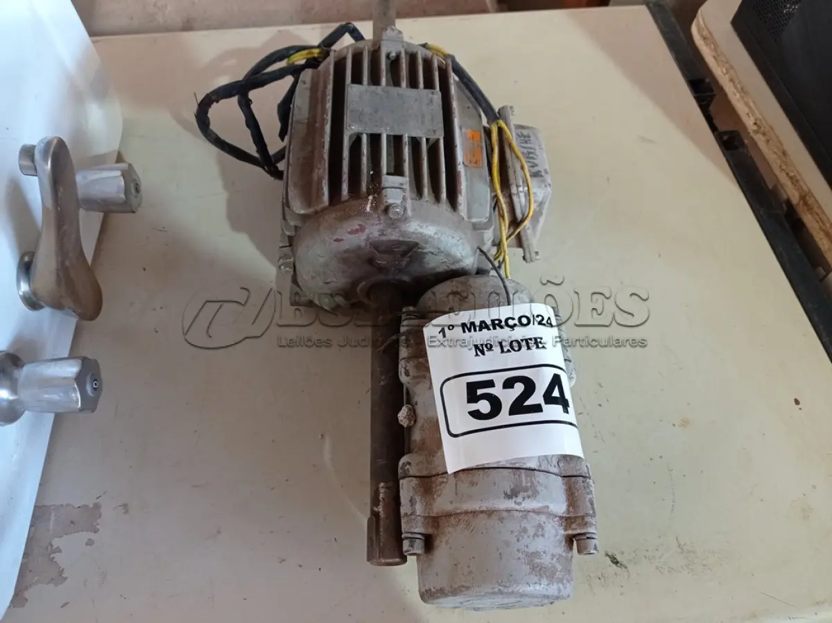 LOTE 524 - 02 MOTORES ELÉTRICOS. (NO ESTADO) ATENÇÃO! FAZER A VISITAÇÃO ANTES DE ARREMATAR, NÃO SABEMOS SE FUNCIONA. LEILÃO NÃO TEM GARANTIA E NEM DEVOLUÇÃO, SUJEITO A POSSÍVEIS AVARIAS VISÍVEIS/OCULTAS E/OU AUSÊNCIA DE COMPONENTES.