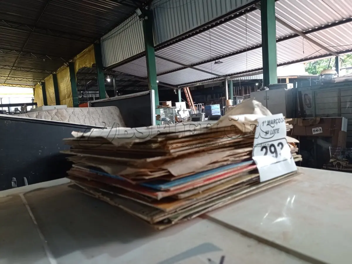 LOTE 293
