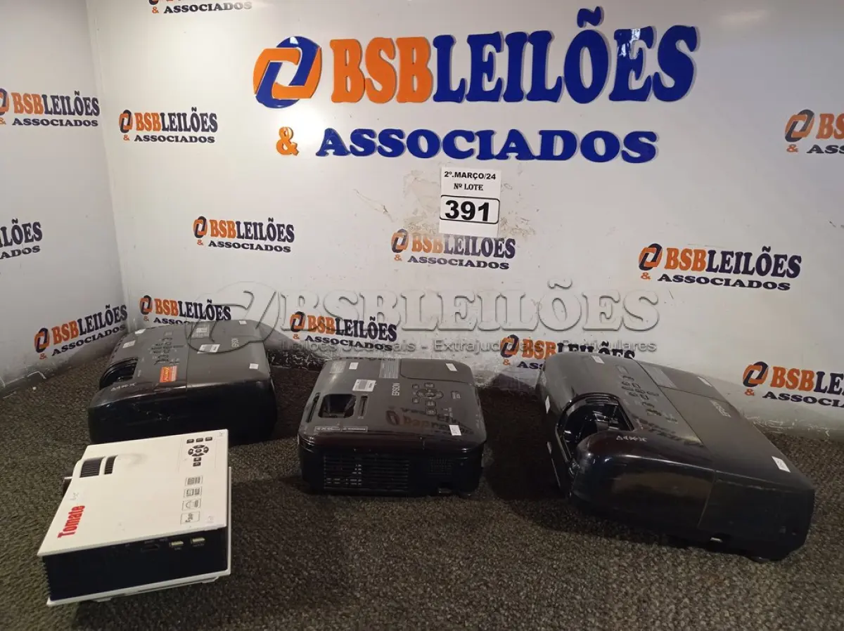 LOTE 391