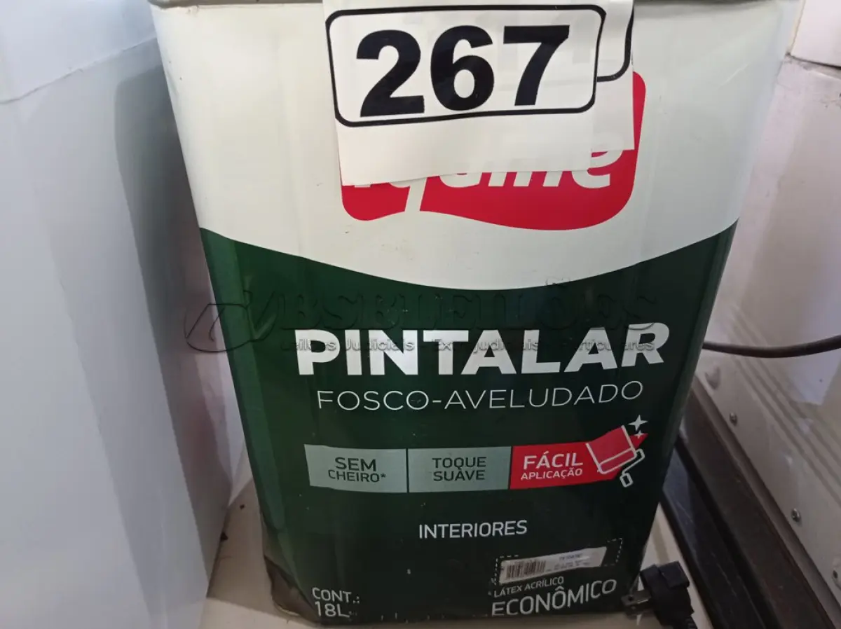 LOTE 267