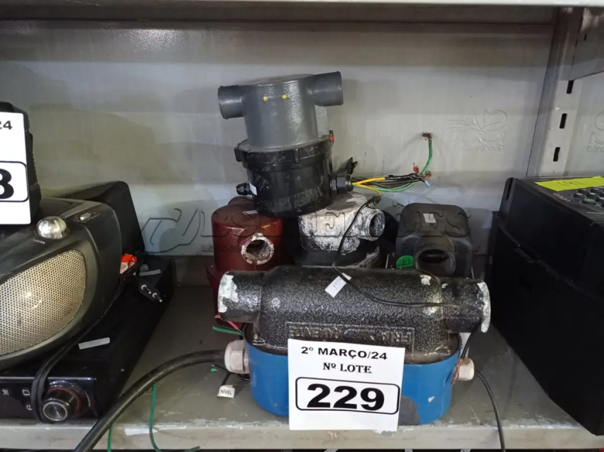 LOTE 229