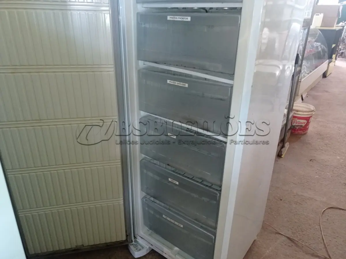 LOTE 374 - 01 FREEZER VERTICAL MARCA ELECTROLUX 220V. (NO ESTADO) ATENÇÃO! FAZER A VISITAÇÃO ANTES DE ARREMATAR, NÃO SABEMOS SE FUNCIONA. LEILÃO NÃO TEM GARANTIA E NEM DEVOLUÇÃO, SUJEITO A POSSÍVEIS AVARIAS VISÍVEIS/OCULTAS E/OU AUSÊNCIA DE COMPONENTES.