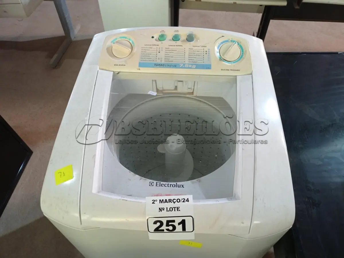 LOTE 251