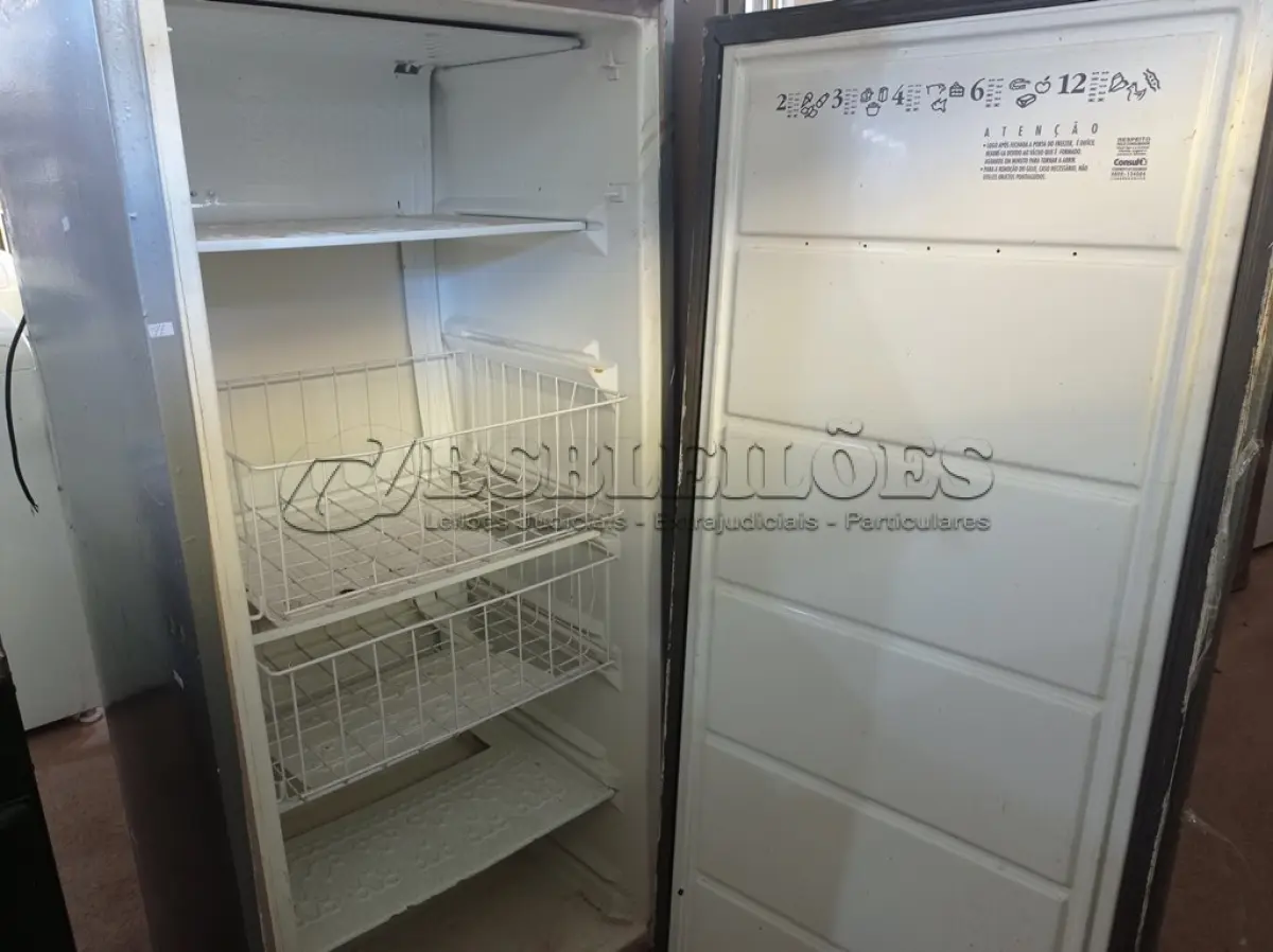 LOTE 358 - 01 FREEZER VERTICAL COM AVARIAS. (NO ESTADO) ATENÇÃO! FAZER A VISITAÇÃO ANTES DE ARREMATAR, NÃO SABEMOS SE FUNCIONA. LEILÃO NÃO TEM GARANTIA E NEM DEVOLUÇÃO, SUJEITO A POSSÍVEIS AVARIAS VISÍVEIS/OCULTAS E/OU AUSÊNCIA DE COMPONENTES.