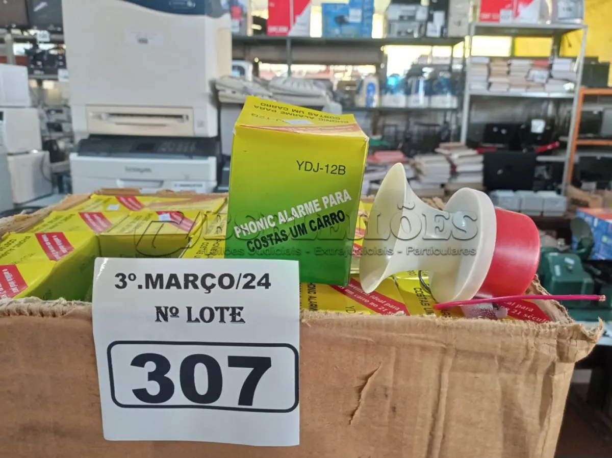 LOTE 307