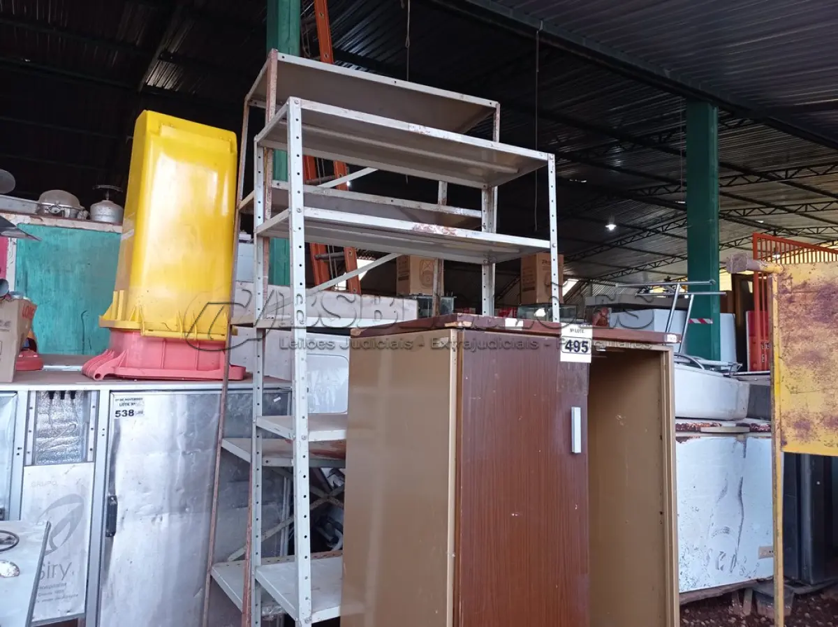 LOTE 495