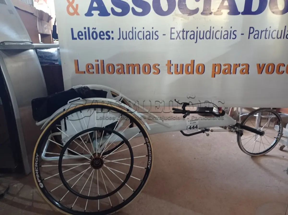 LOTE 444