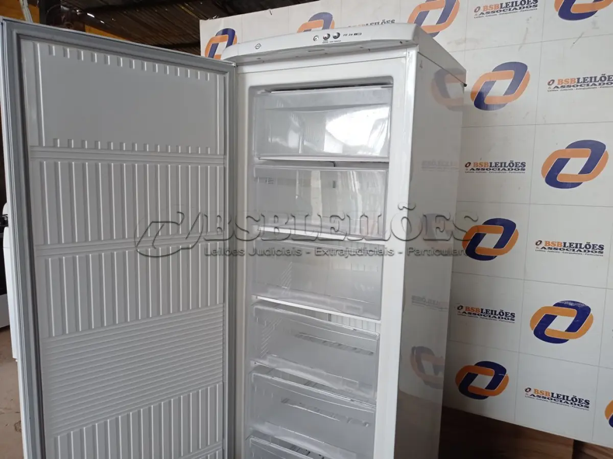 LOTE 038 - 01 FREEZER ELECTROLUX 220V MODELO: FE26. (NO ESTADO) BF8677V