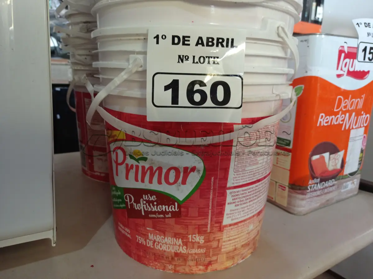 LOTE 160