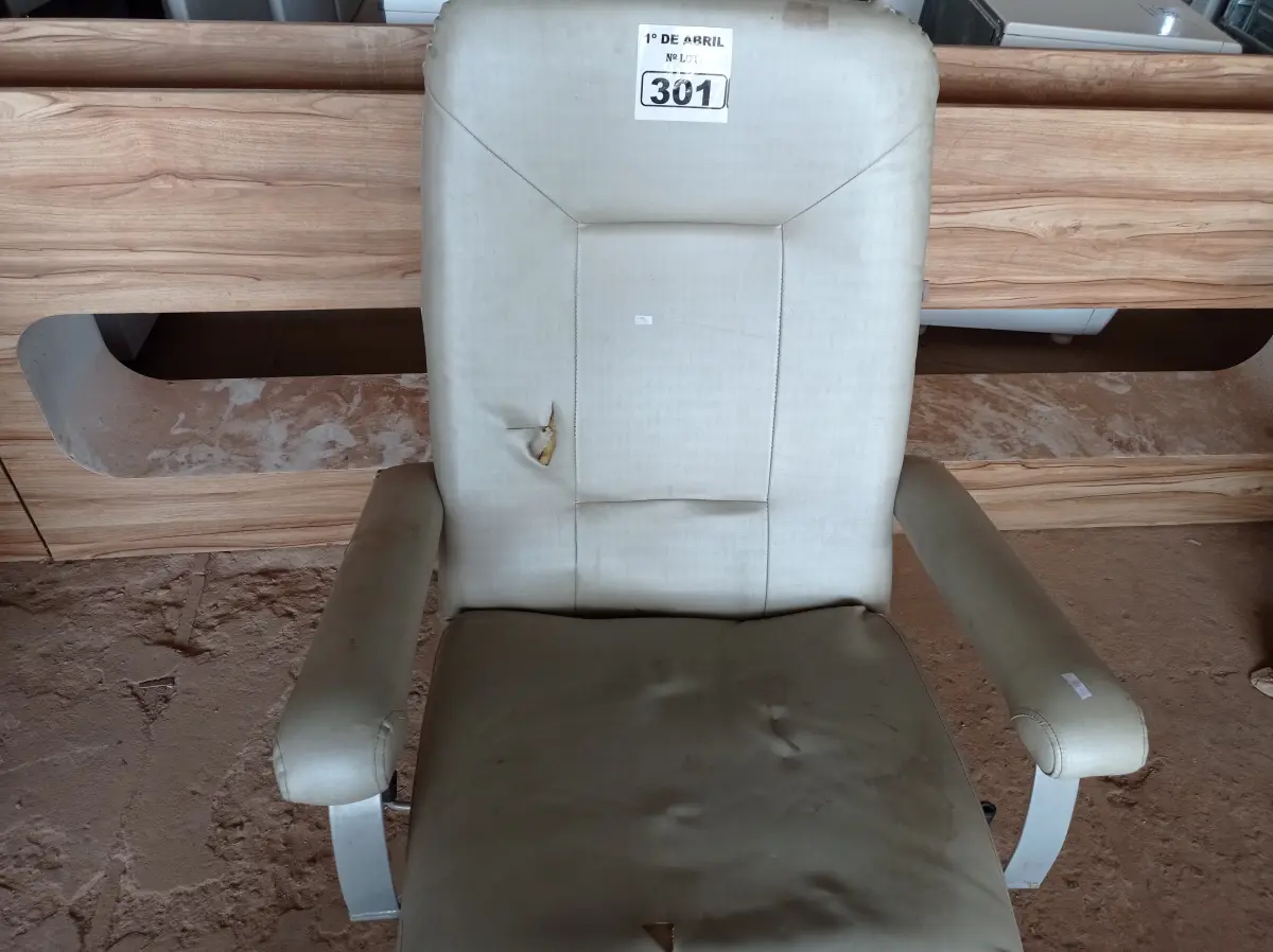 LOTE 301