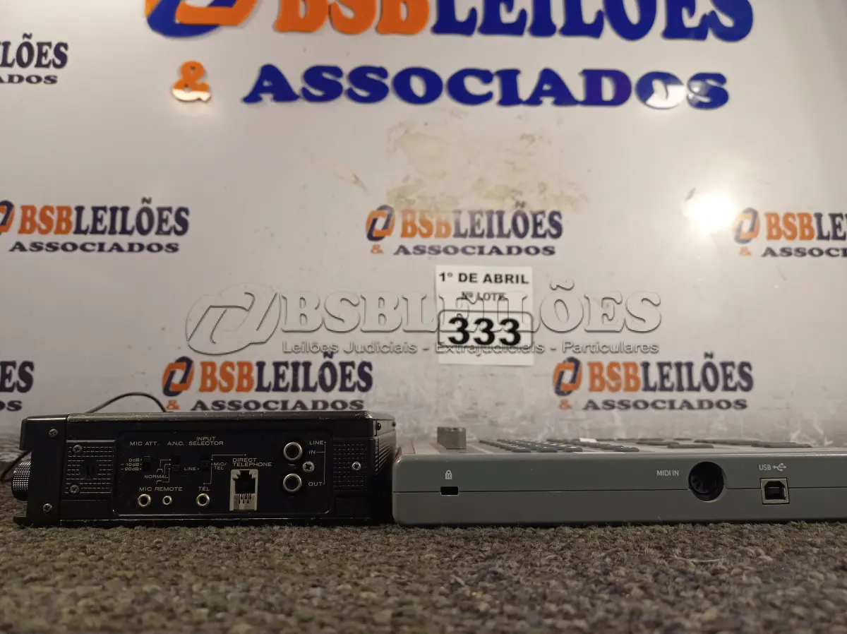 LOTE 333