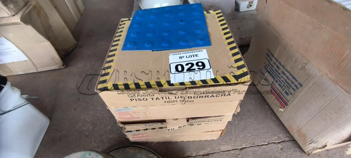 LOTE 029