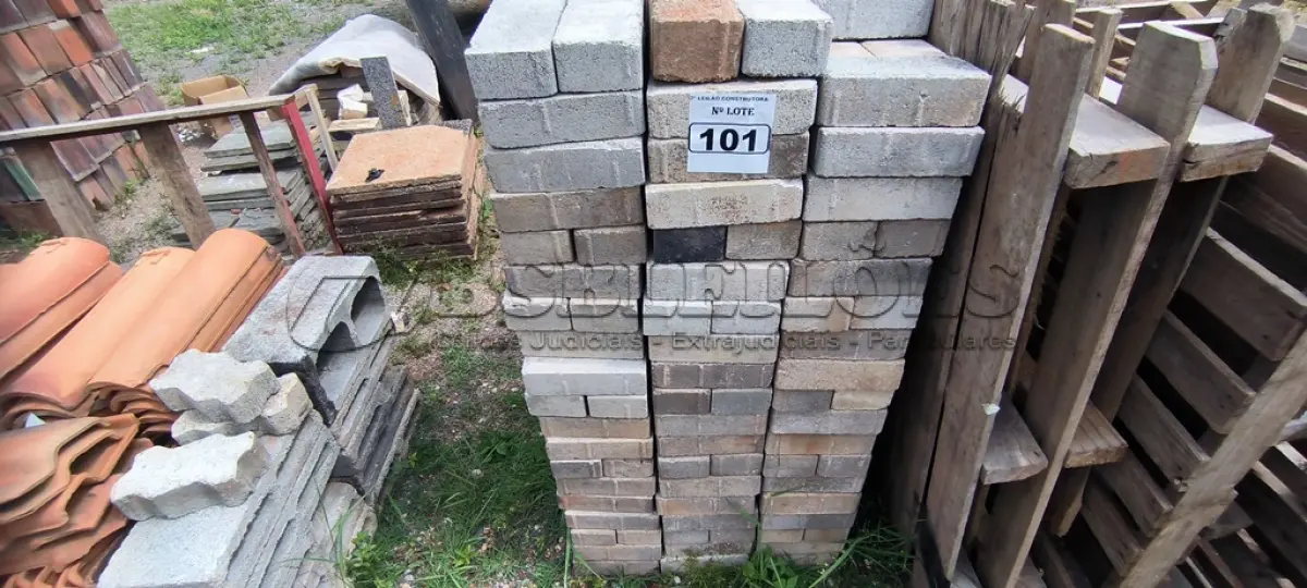 LOTE 101