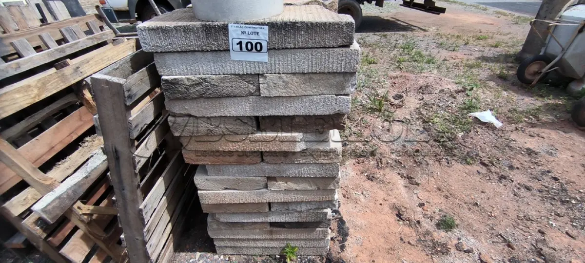 LOTE 100