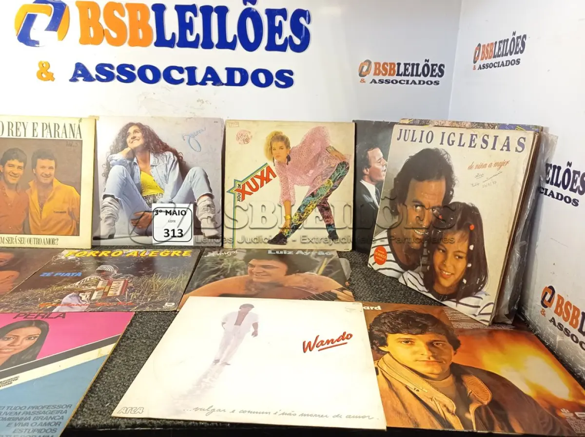 LOTE 313
