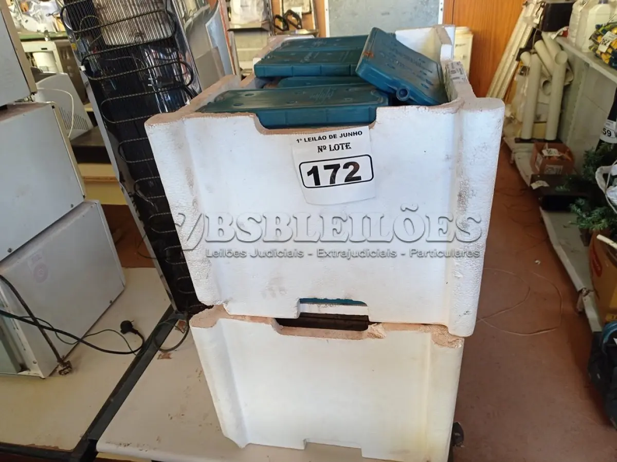LOTE 172 - 01 LOTE COM GRANDE QUANTIDADE DE PLACAS PARA FAZER GELO RÍGIDO REUTILIZÁVEL. (NO ESTADO) ATENÇÃO! FAZER A VISITAÇÃO ANTES DE ARREMATAR, NÃO SABEMOS SE FUNCIONA. LEILÃO NÃO TEM GARANTIA E NEM DEVOLUÇÃO, SUJEITO A POSSÍVEIS AVARIAS VISÍVEIS/OCULTAS E/OU AUSÊNCIA DE COMPONENTES.